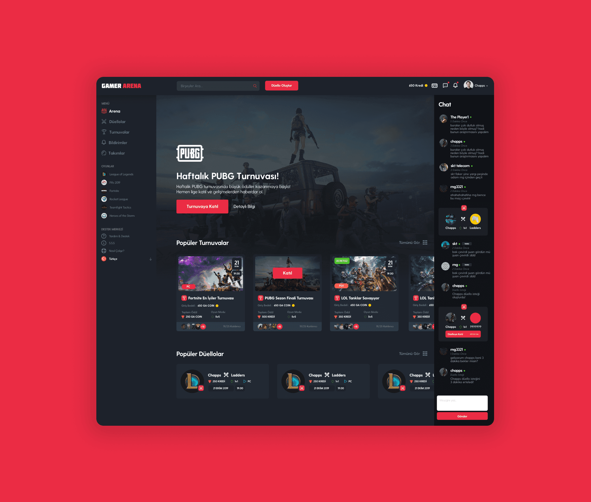 Gamer Arena project thumbnail